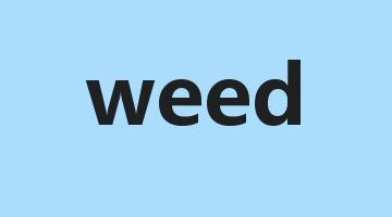 weed是什么意思_weed怎么读_weed的用法_翻译_短语搭配_权威例句