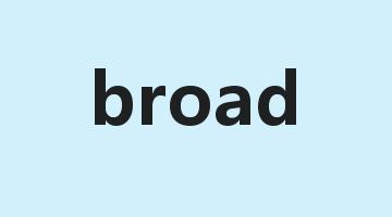 broad是什么意思_broad怎么读_broad的用法_翻译_短语搭配_权威例句