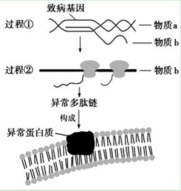 下图为人体某致病基因控制异常蛋白质合成的过程示意图。请回答：(1)图中过程①是________，此过程既...