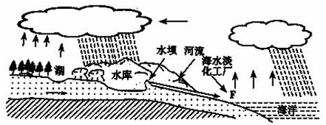 下图为“某地区水循环示意图”，读图回答31～32题。31．大型水库建成后，对水循环的各环节可能造成的影响...