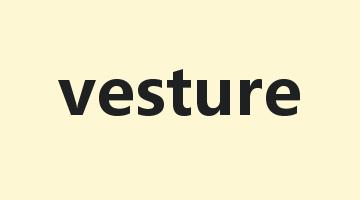 vesture是什么意思_vesture怎么读_vesture的用法_翻译_短语搭配_权威例句