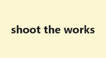 shoot the works是什么意思_shoot the works怎么读_shoot the works的用法_翻译_短语搭配_权威例句