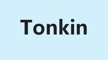 Tonkin是什么意思_Tonkin怎么读_Tonkin的用法_翻译_短语搭配_权威例句