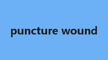 puncture wound是什么意思_puncture wound怎么读_puncture wound的用法_翻译_短语搭配_权威例句