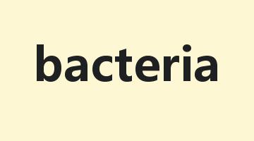 bacteria是什么意思_bacteria怎么读_bacteria的用法_翻译_短语搭配_权威例句