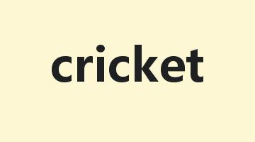 cricket是什么意思_cricket怎么读_cricket的用法_翻译_短语搭配_权威例句