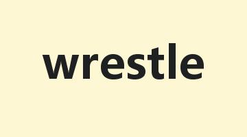 wrestle是什么意思_wrestle怎么读_wrestle的用法_翻译_短语搭配_权威例句