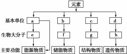 如图表示细胞内4种重要的有机物的组成及功能，请据图回答下面的问题．（1）a一般是指     ；e在动物细...