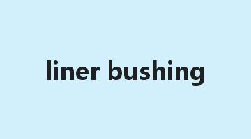 liner bushing是什么意思_liner bushing怎么读_liner bushing的用法_翻译_短语搭配_权威例句