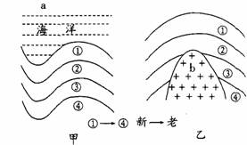 关于下图的叙述，正确的是   (   )  A．甲图表示的地层中，②地层含有石油，开采时应在a处钻井B．...