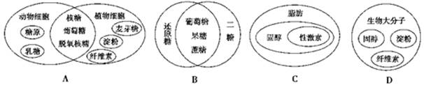 下列图中动植物糖类、脂质的种类与比较正确的是(    )答案：A