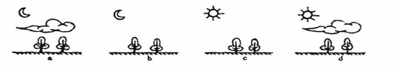 读下列四图，若只考虑昼夜和云量情况，下列气温排序正确的是    A．a>b>c>d     B．b>a>...