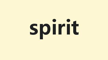 spirit是什么意思_spirit怎么读_spirit的用法_翻译_短语搭配_权威例句