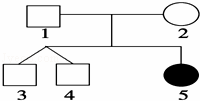 如图是某种遗传病的系谱图．3号和4号为正常的异卵孪生兄弟，兄弟俩基因型均为Aa和概率是（）A．B．C．D...