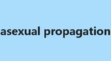 asexual propagation是什么意思_asexual propagation怎么读_asexual propagation的用法_翻译_短语搭配_权威例句