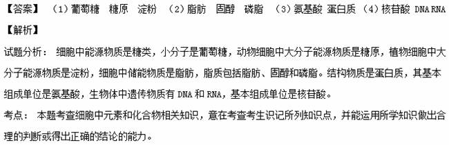 30．(每空1分,共11分）如图所示：分析细胞内4种重要有机物的组成及功能，回答下列问题：（1）A一般是...