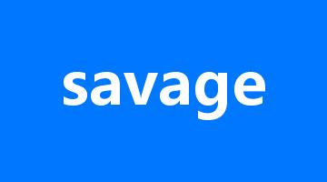 savage是什么意思_savage怎么读_savage的用法_翻译_短语搭配_权威例句