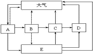 某生物兴趣小组对某地区的生物群落进行了调查，并根据调查结果绘制出了该地区ABCDE五种生物的食物关系以及...