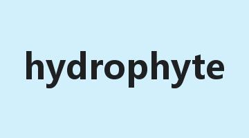 hydrophyte