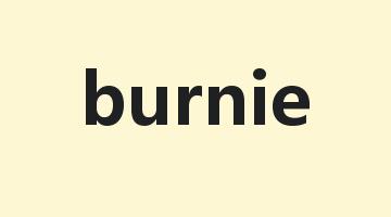 burnie是什么意思_burnie怎么读_burnie的用法_翻译_短语搭配_权威例句