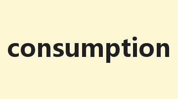 consumption是什么意思_consumption怎么读_consumption的用法_翻译_短语搭配_权威例句