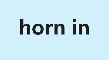 horn in是什么意思_horn in怎么读_horn in的用法_翻译_短语搭配_权威例句