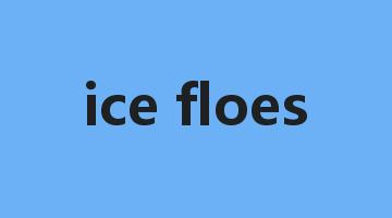 ice floes是什么意思_ice floes怎么读_ice floes的用法_翻译_短语搭配_权威例句