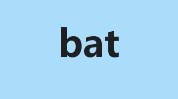 bat