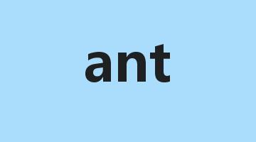 ant