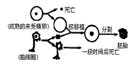 下图说明细胞能正常完成各项生命活动的前提条件是A．膜的选择透过性          B．线粒体供能  C...