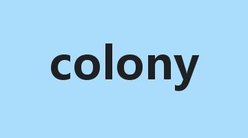 colony是什么意思_colony怎么读_colony的用法_翻译_短语搭配_权威例句