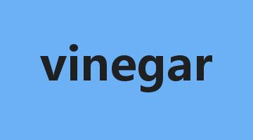 vinegar是什么意思_vinegar怎么读_vinegar的用法_翻译_短语搭配_权威例句