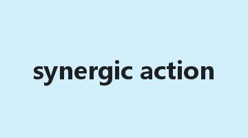 synergic action是什么意思_synergic action怎么读_synergic action的用法_翻译_短语搭配_权威例句