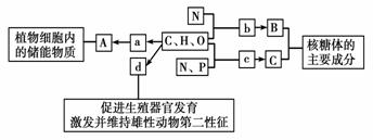 43.（共16分，每空2分）如图所示的图解表示构成细胞的元素、化合物，a、b、c、d代表不同的小分子物质...