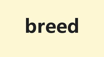 breed是什么意思_breed怎么读_breed的用法_翻译_短语搭配_权威例句