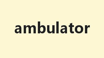 ambulator是什么意思_ambulator怎么读_ambulator的用法_翻译_短语搭配_权威例句