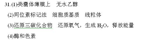 如图是绿色植物体内能量供应及利用的示意图，请据图回答：(1)A过程中的色素分布在________，提取A...