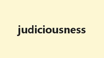 judiciousness是什么意思_judiciousness怎么读_judiciousness的用法_翻译_短语搭配_权威例句