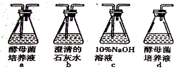 （每空2分，共12分）生物兴趣小组分别对酵母菌细胞呼吸方式进行了如下的探究实验，请分析回答：兴趣小组想探...