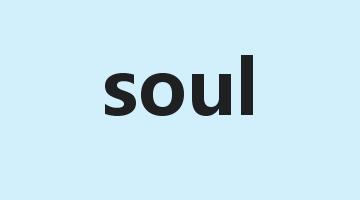 soul是什么意思_soul怎么读_soul的用法_翻译_短语搭配_权威例句