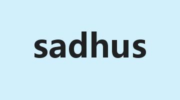 sadhus是什么意思_sadhus怎么读_sadhus的用法_翻译_短语搭配_权威例句