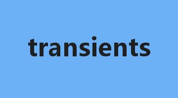 transients是什么意思_transients怎么读_transients的用法_翻译_短语搭配_权威例句