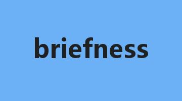 briefness是什么意思_briefness怎么读_briefness的用法_翻译_短语搭配_权威例句