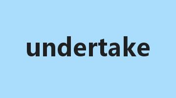 undertake是什么意思_undertake怎么读_undertake的用法_翻译_短语搭配_权威例句