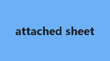 attached sheet是什么意思_attached sheet怎么读_attached sheet的用法_翻译_短语搭配_权威例句