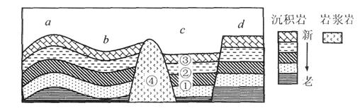 读某地的地质构造示意图，完成下题。30．c区域的地质构造名称为                     ...