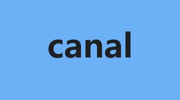 canal是什么意思_canal怎么读_canal的用法_翻译_短语搭配_权威例句