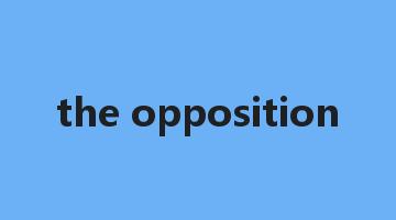 the opposition是什么意思_the opposition怎么读_the opposition的用法_翻译_短语搭配_权威例句