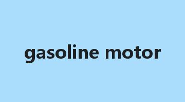 gasoline motor是什么意思_gasoline motor怎么读_gasoline motor的用法_翻译_短语搭配_权威例句