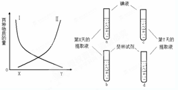 香蕉果实成熟过程中，果实中的贮藏物不断代谢转化，香蕉逐渐变甜。图A中Ⅰ、Ⅱ两条曲线分别表示香蕉果实成熟过...